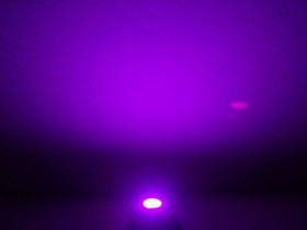 T10 Noflix LED purple - SMD 3 Chip