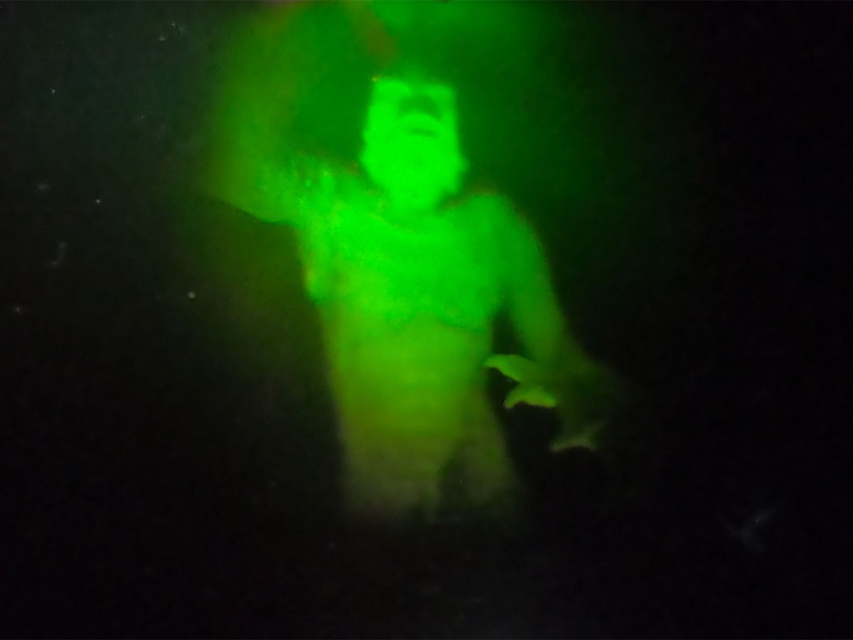 Hologram for Creature from the Black Lagoon