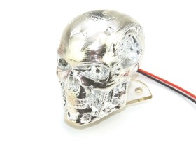 Skull 2, Chrome for Terminator