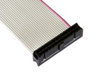Ribbon Cable 26pin, 49cm (19"), 2 Connector