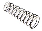 Coil plunger spring