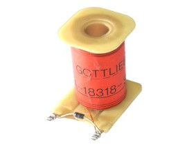 Coil A-18318 SS (Gottlieb)