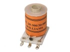 Coil FL 20-300/30-800 (Williams)