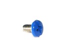 Machine Screw 6-32 x 1/4", blue