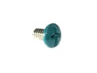 Machine Screw 6-32 x 1/4", green