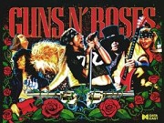 Guns N' Roses