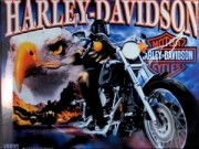 Harley-Davidson (SEGA, Stern)