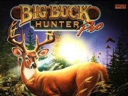 Big Buck Hunter Pro