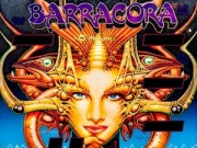 Barracora